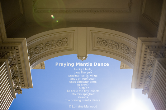 Praying Mantice Dance