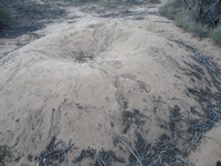 Poetry residency in the Mallee