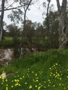 Poetry workshops by the Campaspe River